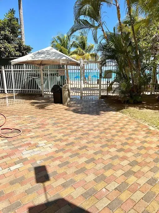 Gorgeous Ocean View Condo W/Beach Access & Parking San Juan Apartment